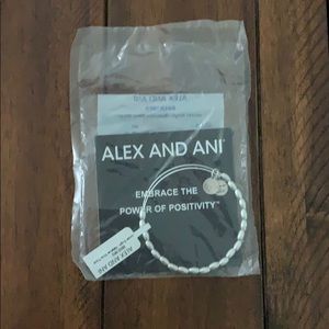 Alex and Ani Jordan Single- Rafaelian Silver